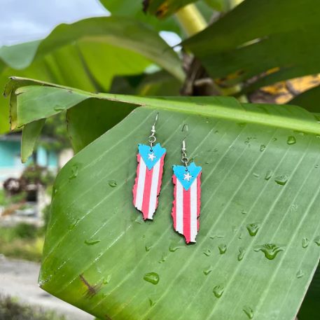 Tropical Island Earrings Silver (Light Blue)